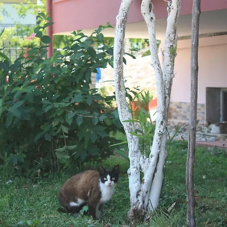 公寓 Sunray 斯塔夫罗斯