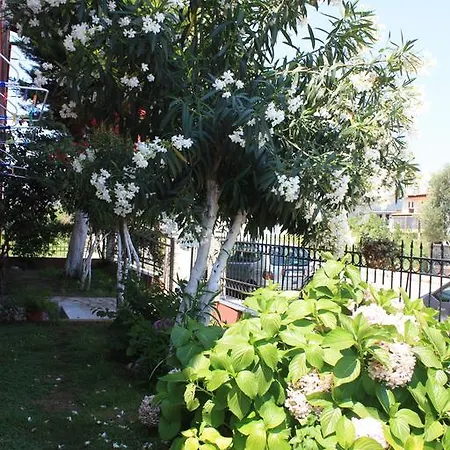 Sunray Apartment *