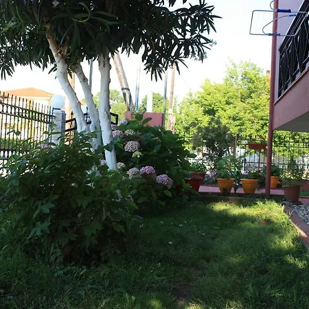 Sunray 斯塔夫罗斯