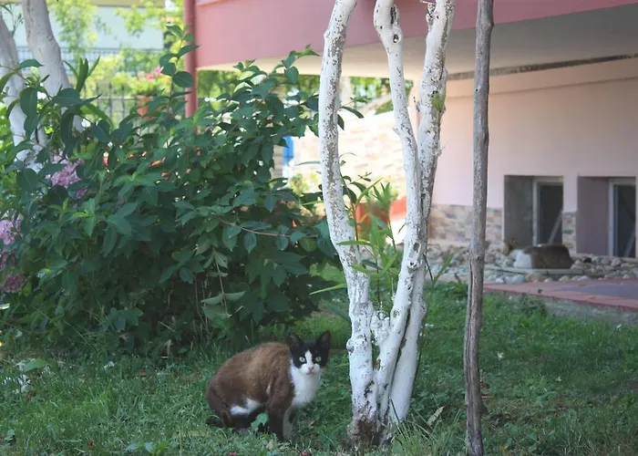 Appartement Sunray Studios Stavros (Thessaloniki)